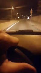 Un loup aperçu dans le Var?