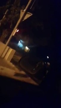 Un loup aperçu dans le Var?