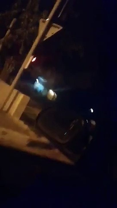 Un loup aperçu dans le Var?