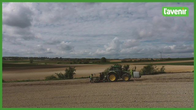 Les secrets de la vigne wallonne : La plantation