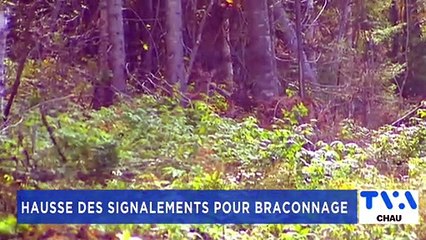 TVA Nouvelles CHAU 12h 18 octobre 2021