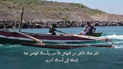 آسيا تعاني للتخلص من الفحم رغم حالة الطوارئ المناخية
