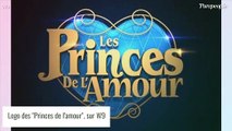 Les Princes de l'amour : Mariage d'une candidate phare, Capucine Anav a vendu la mèche