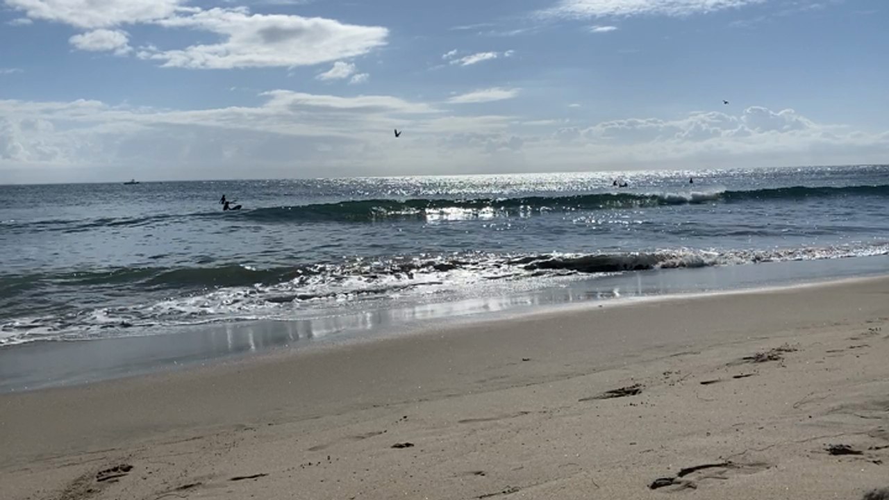 Beach Footage - LA
