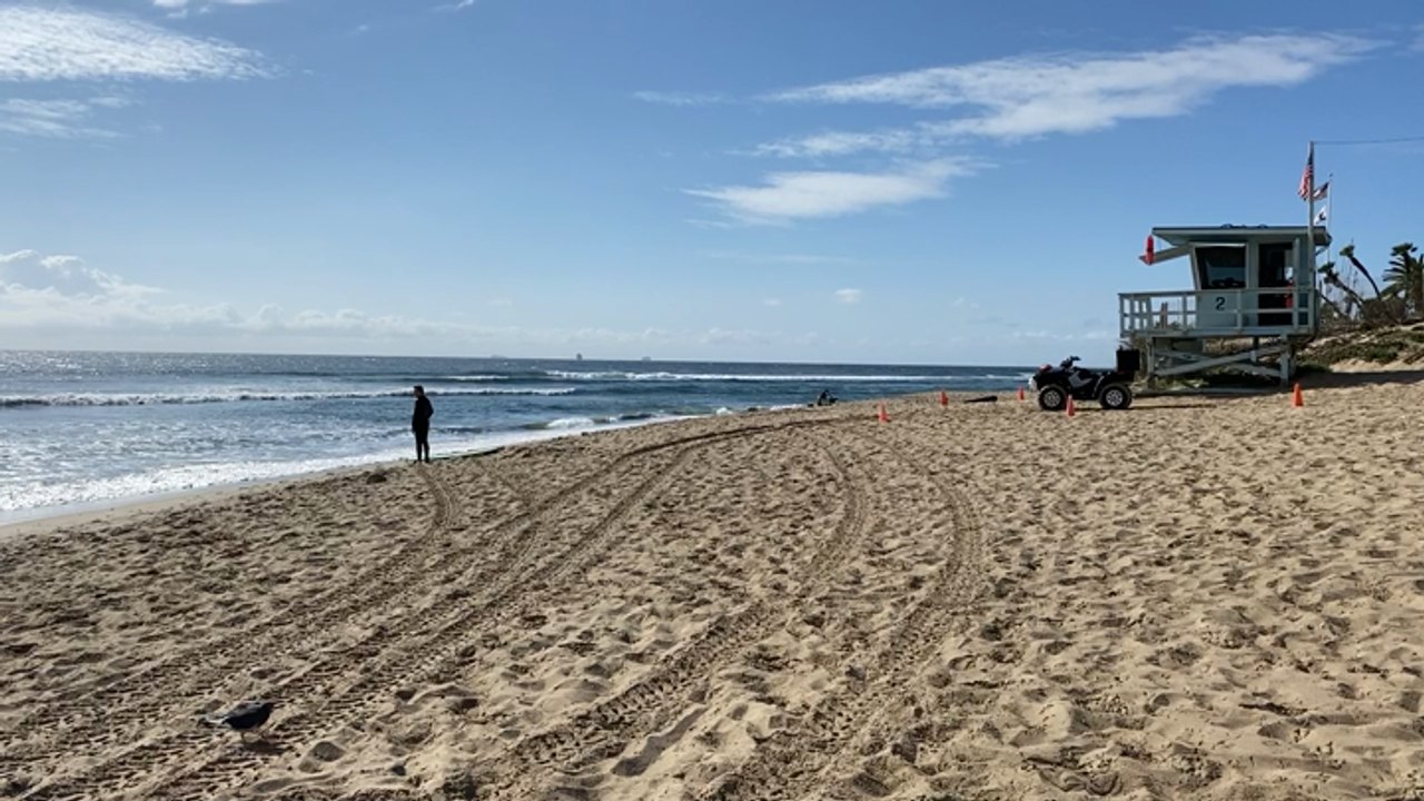 Beach Footage - LA