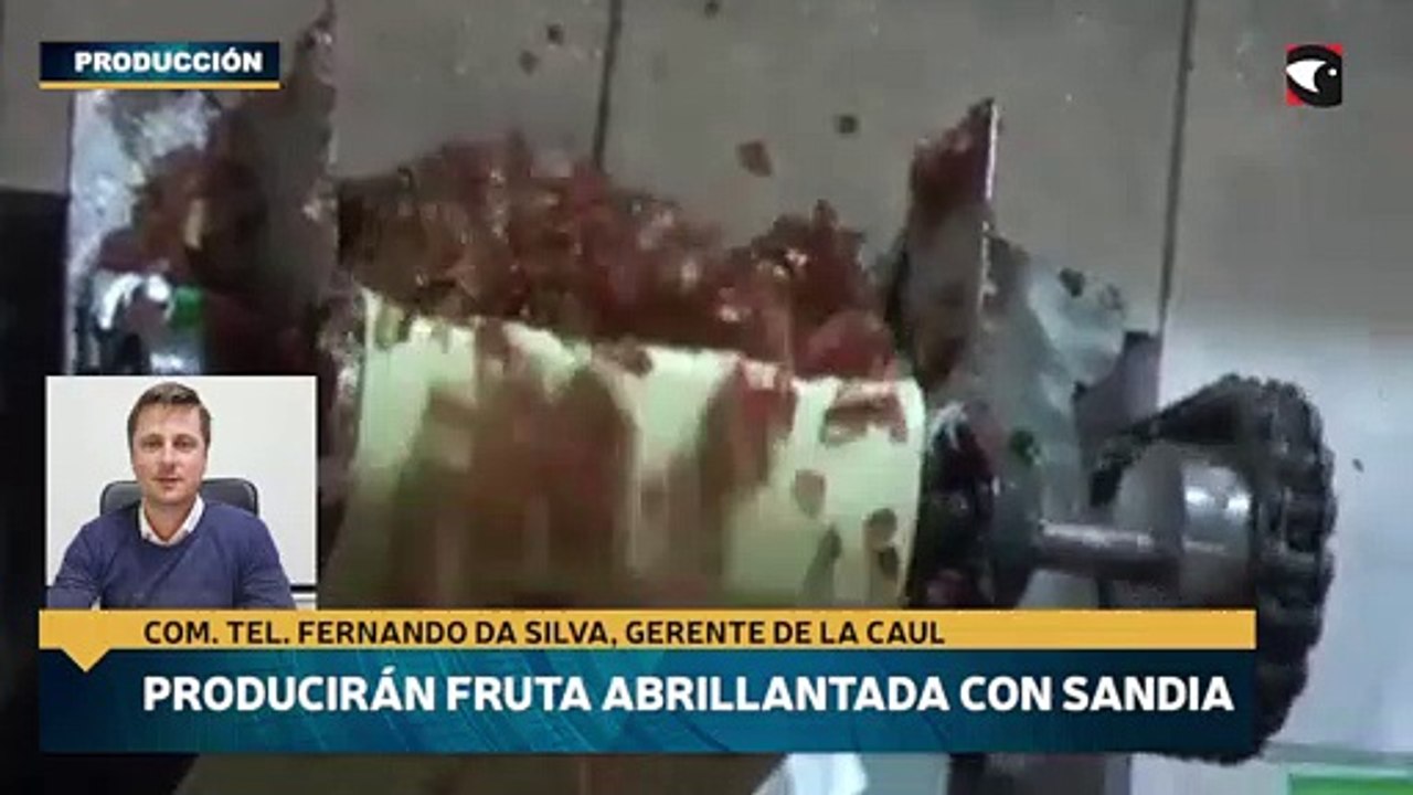 Producirán fruta abrillantada con sandia