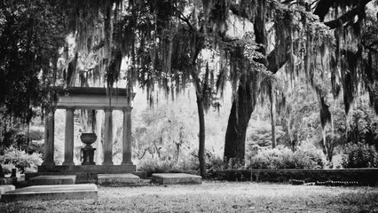 Spooky Walks Across the South That'll Give You a Fright