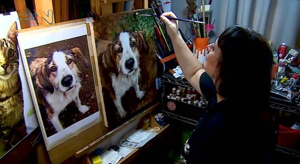 mqn-Retrata animales y crea fundación que salva gatos-181021