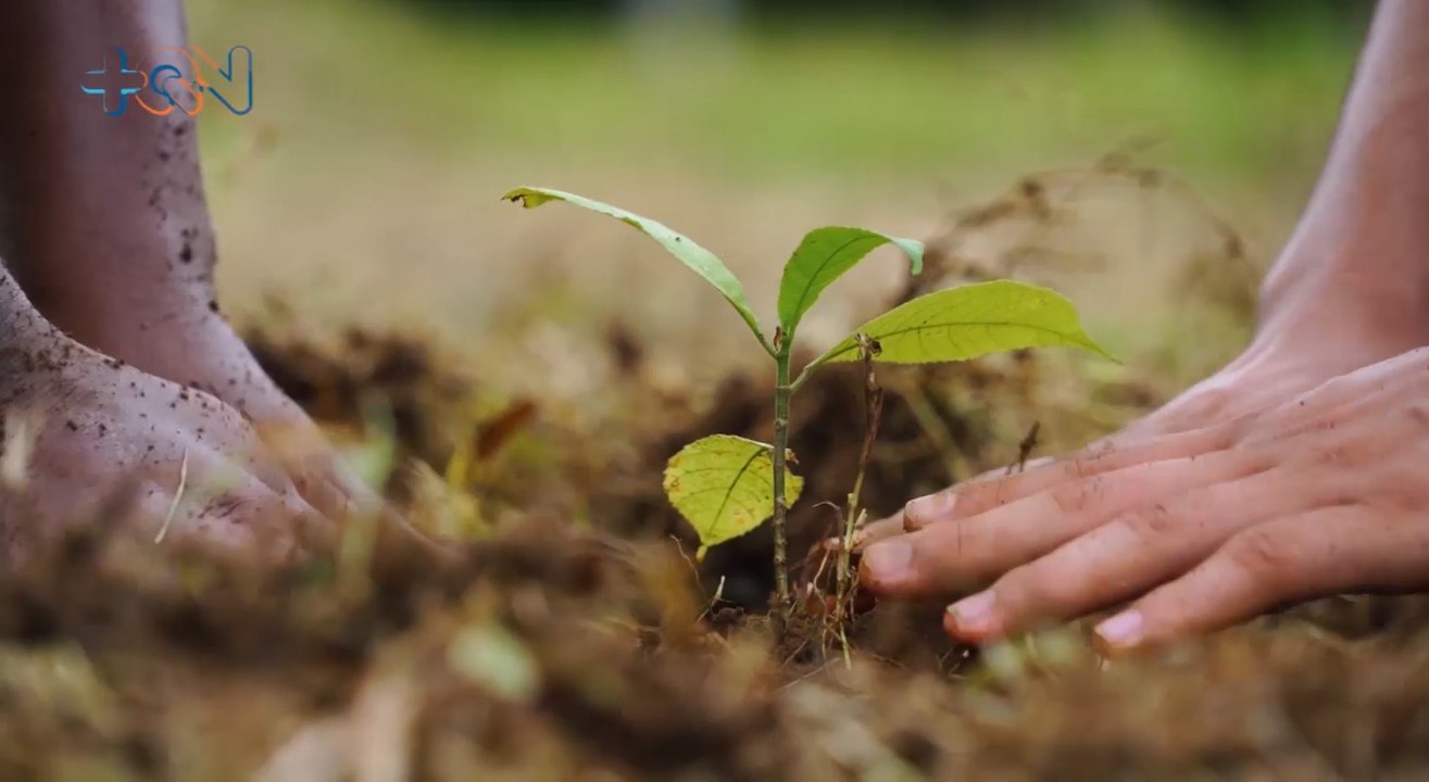mqn-Proyecto planea traer empleos verdes a Zona Norte-181021