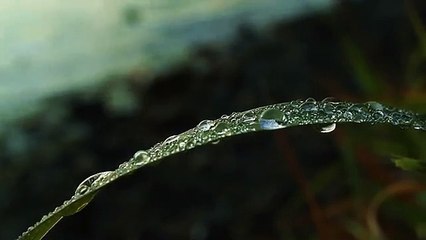 Background Music For Meditations, Yoga, Spa, Relaxing and Sleep