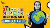 The Climate Change Dictionary | What is Carbon Net-Zero? | The Quint