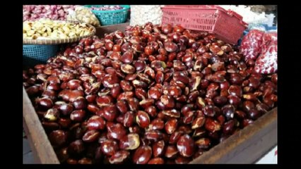 Apa Sih Manfaat Jengkol-  What are the Benefits of Jengkol-