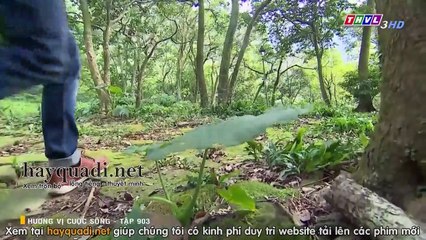Hương Vị Cuộc Sống Tập 903 - phim THVL3 lồng tiếng tap 904 - xem phim huong vi cuoc song tap 903