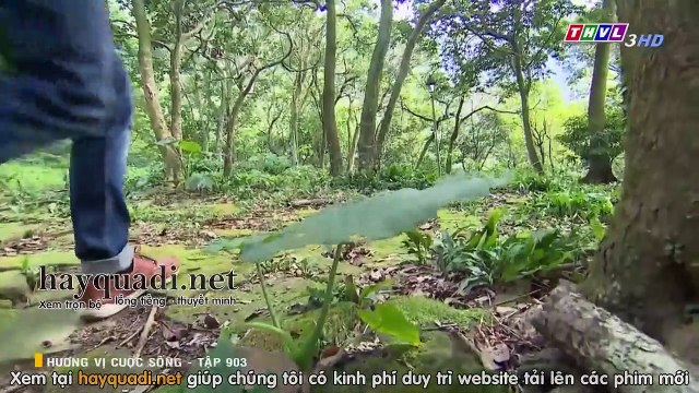 Hương Vị Cuộc Sống Tập 903 - phim THVL3 lồng tiếng tap 904 - xem phim huong vi cuoc song tap 903