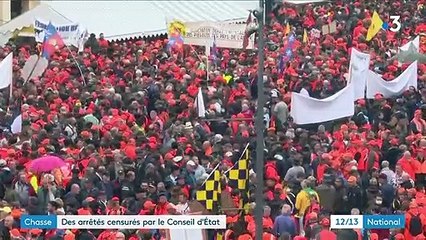 Biodiversité : le Conseil d'État suspend les arrêtés autorisant les chasses traditionnelles