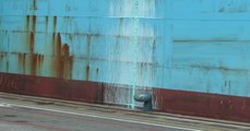 Trieste - Perdita sostanza tossica da container al porto: intervengono Vigili del Fuoco (19.10.21)