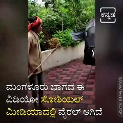 This Special Navaratri Elephant Win's Netizens Heart.