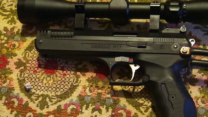 Test Beeman P17  accuracy