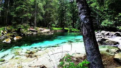Study Music, Concentration, Focus Music, Relaxing Music, Meditation, Work, Calm Music, Studymusic 20