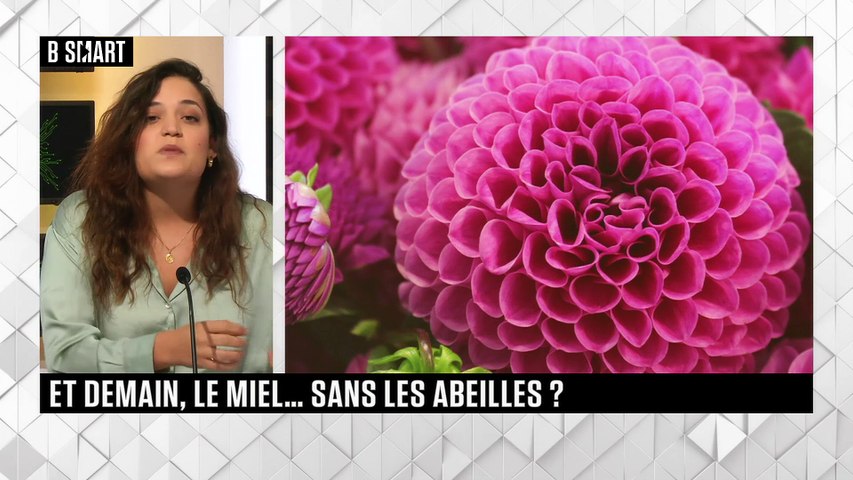 Et demain, le miel... sans les abeilles ?