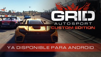 GRID Autosport Custom Edition