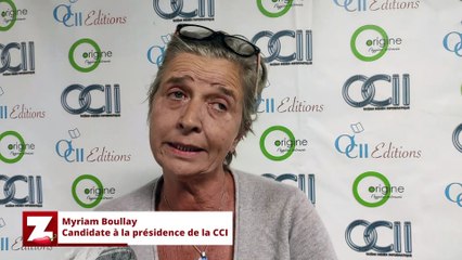 CCIR : Ibrahim Patel inéligible selon Myriam Boullay