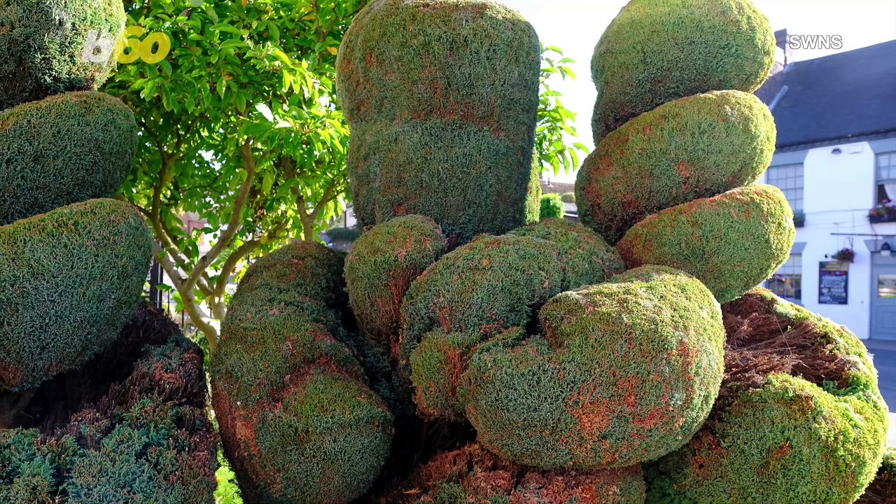 Gardener Threatened With Legal Action Over His Bird-Flipping Bush