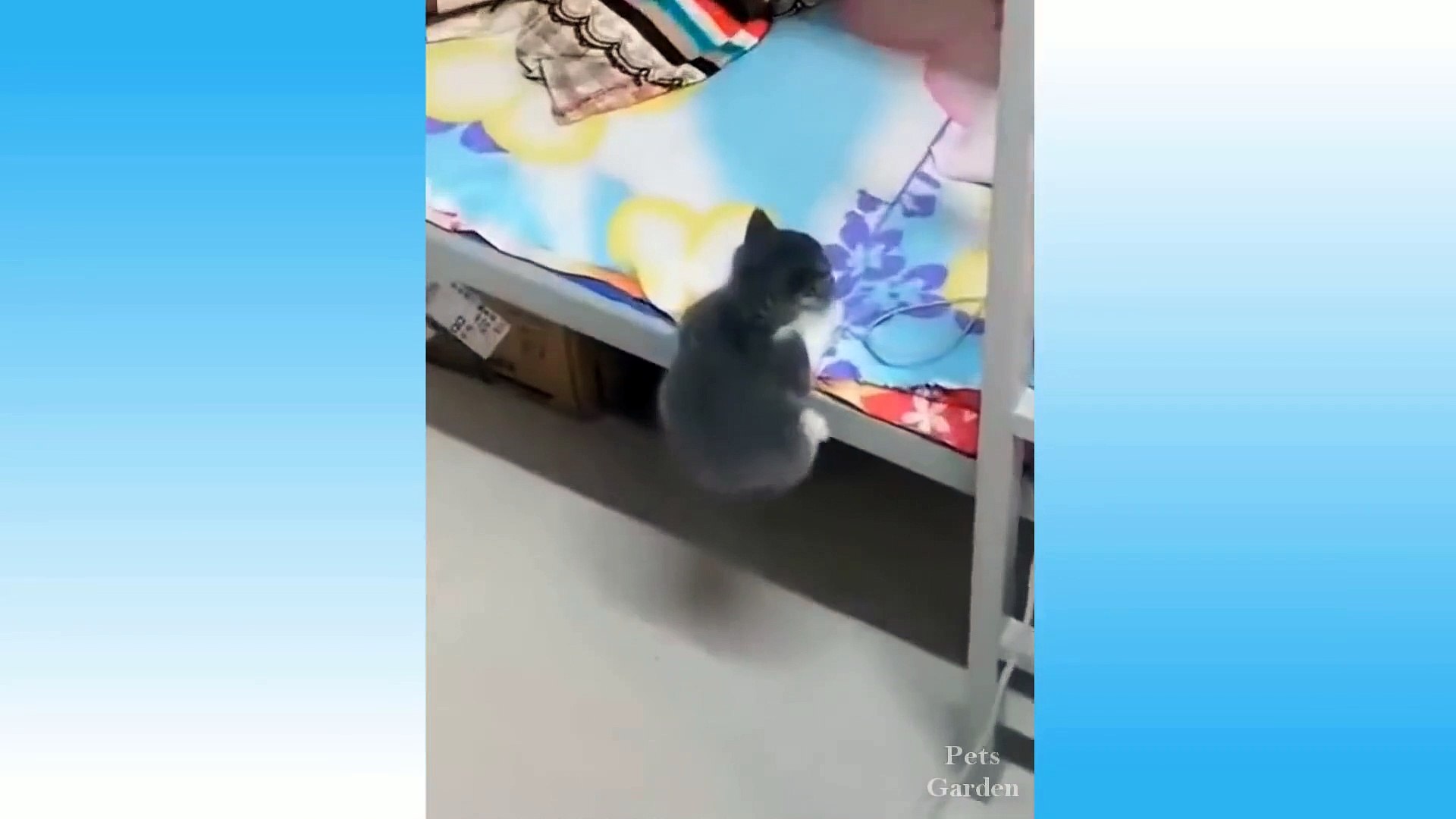 ⁣Baby Pets - Cute and Funny Pets Videos Compilation #5