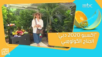 الجناح الكولومبي في "إكسبو 2020 دبي" إبداع في مذاق القهوة وملتقى لعشاق الطبيعة