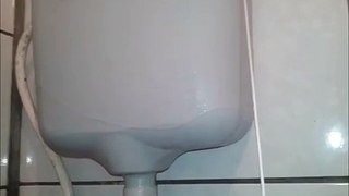 Como dar descarga no banheiro