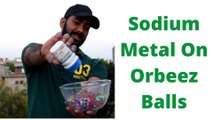 What Happen When we put Sodium Metal on Orbeez Balls (Sodium metal vs Orbeez balls)