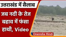 Uttarakhand Heavy Rain: भारी बारिश के बीच नदी के तेज बहाव में फंसा हाथी, देखें Video| वनइंडिया हिंदी