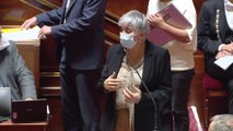 Irresponsabilité pénale: Muriel Jourda (LR) défend la version du Sénat