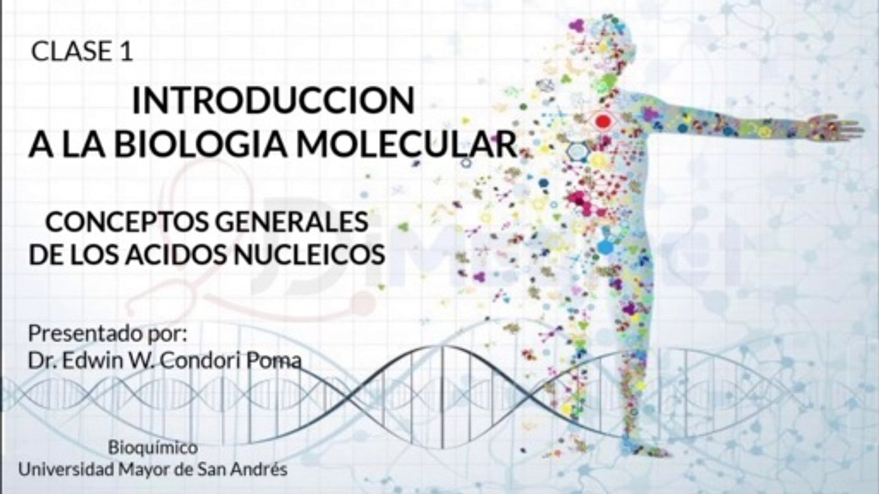 ✅ Clase 1. Conceptos Generales de los ÁCIDOS NUCLEICOS | ► BIOLOGIA MOLECULAR