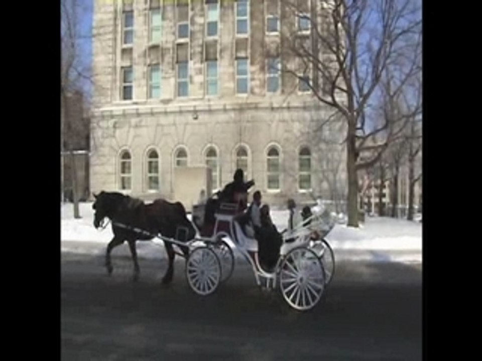 Carnaval de Quebec 2008 PART 1-Quebec 2008 carnival