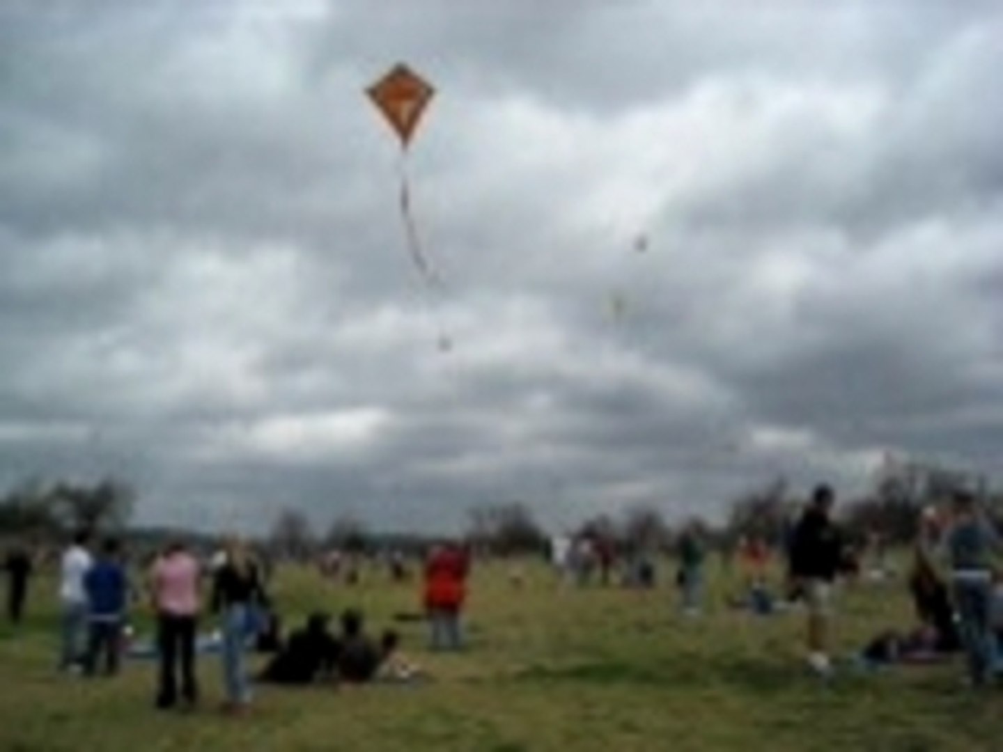 ⁣Kite Festival