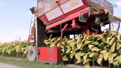 Teknologi pertanian luar negri