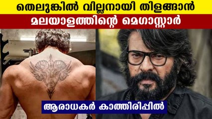 തെലുങ്കിൽ വില്ലനായി തിളങ്ങാൻ മമ്മൂക്ക | Oneindia Malayalam