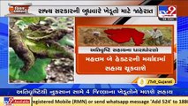 Gujarat govt to announce relief package as per SDRF norms for farmers affected by heavy rains _ TV9