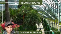 Flower Dome - World’s Largest Glass GreenHouse - Part 1 | A Tour of Gardens by the Bay in Singapore
