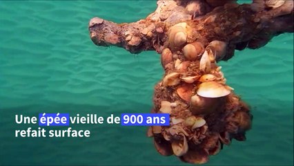 Un plongeur israélien découvre une épée de Templier dans une crique naturelle