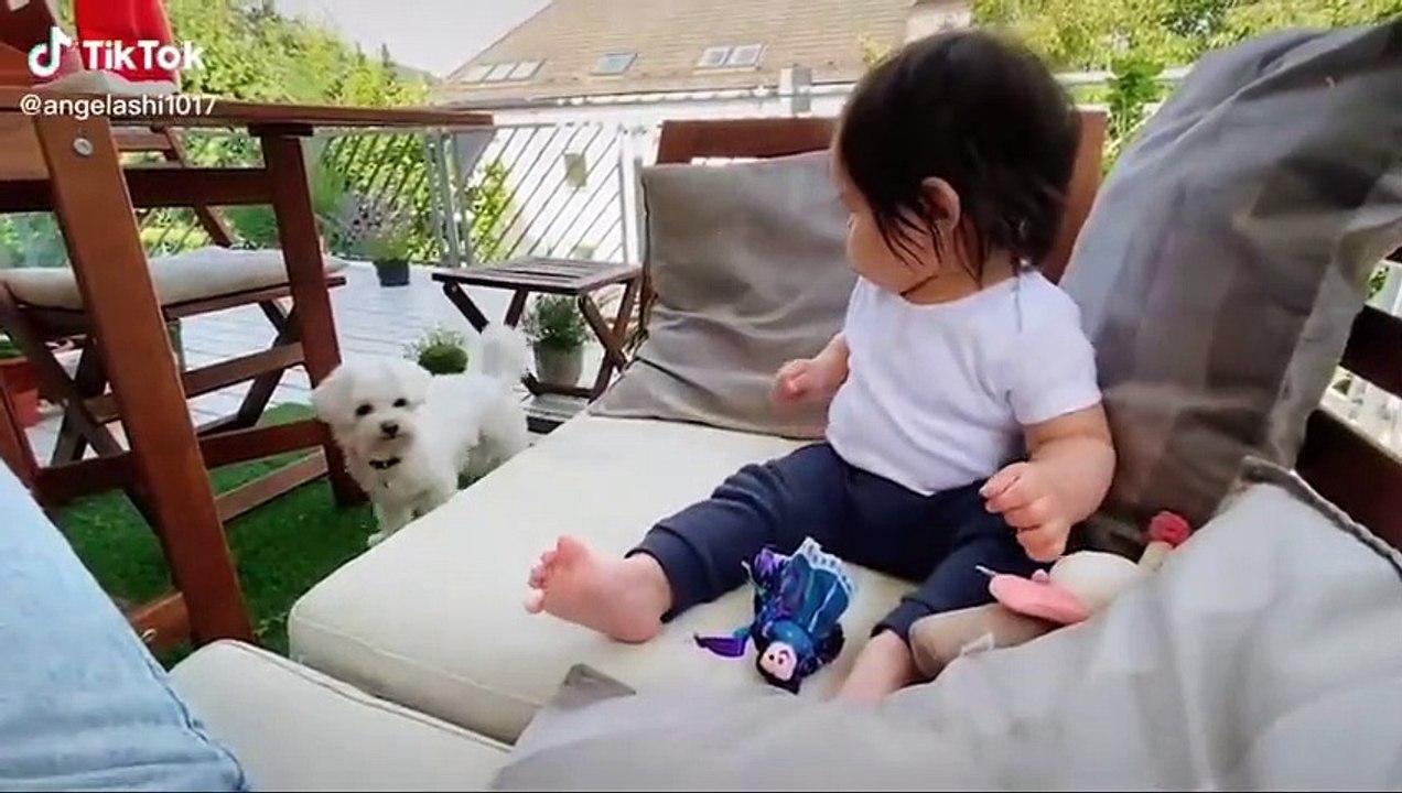 Funny Moments Of The Year Compilation ---