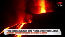 ÚLTIMA HORA_ Gases TÓXICOS y un RESCATE muy especial (Erupción Volcánica Lava) La Palma 2021