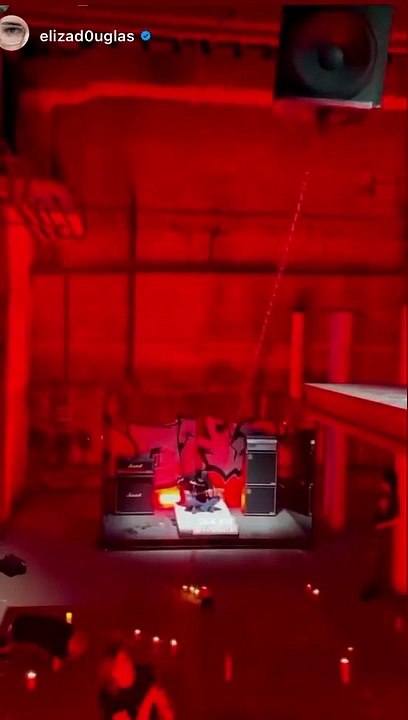 Anne Imhof partage un aperçu de son exposition "Natures Mortes", au Palais de Tokyo.