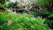 Kanapaha Botanical Gardens (Gainesville, FL) - 4K Cinematic Travel VLOG Video Tour & Review