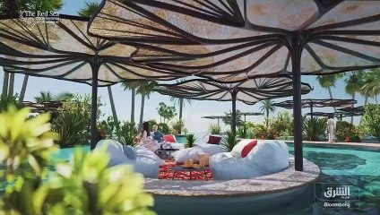 ...لم نرها منذ عام الفين ....