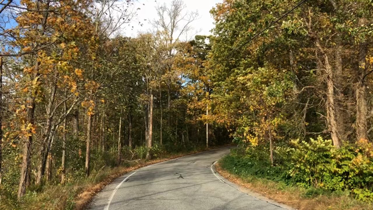 Fall Foliage