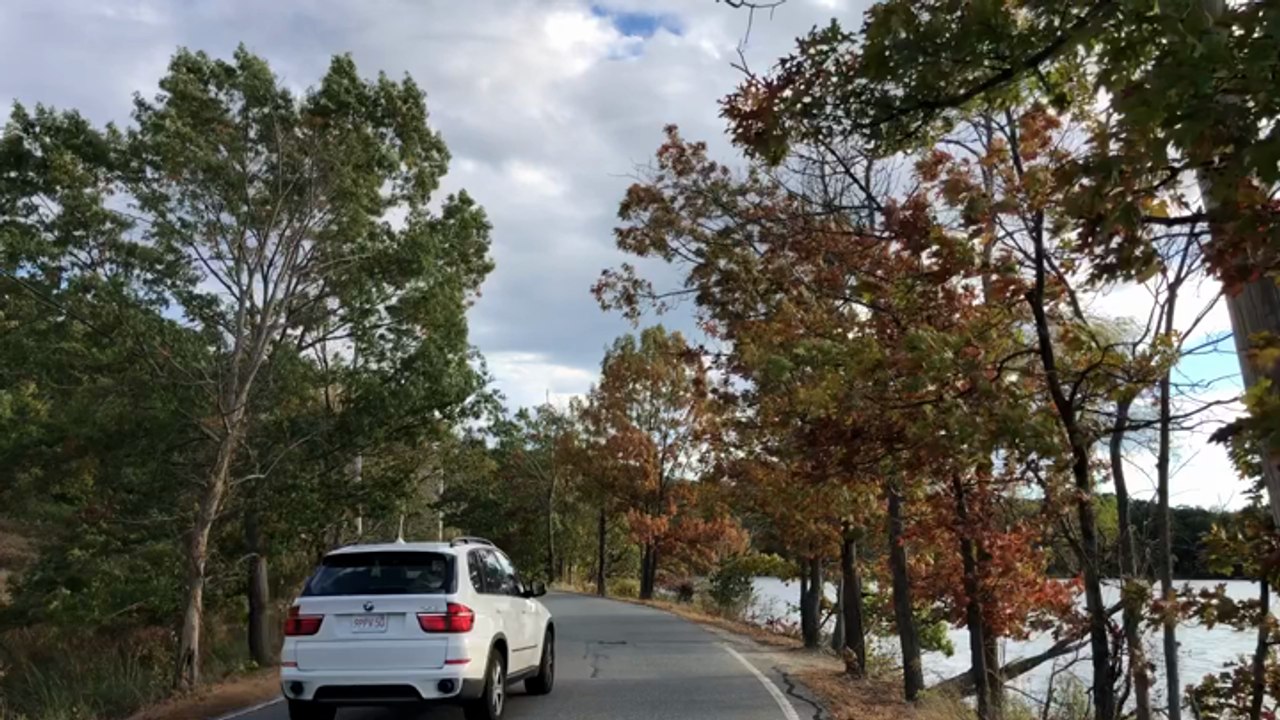 Fall Foliage
