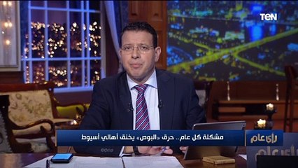 حرق "البوص" يخنق أهالي أسيوط.. ووكيل وزارة الزراعة: المشكلة بتحصل كل سنة والظاهرة هتختفي في 2022