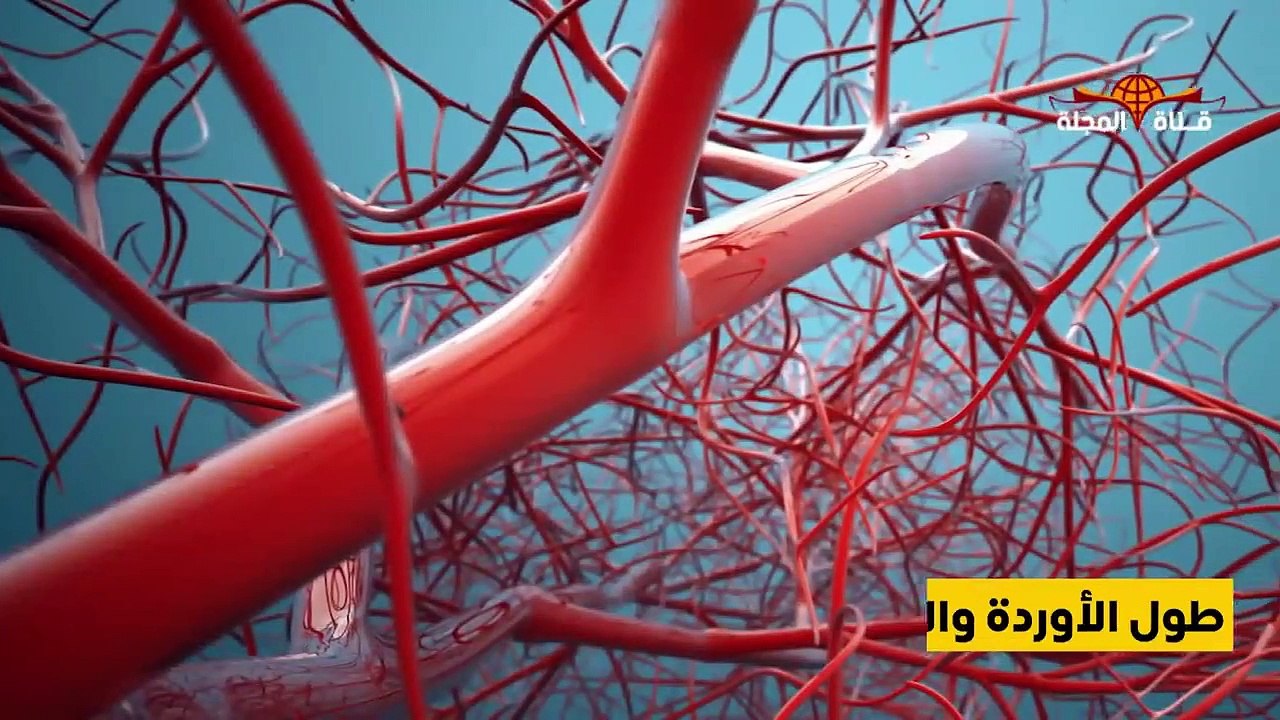 10 أسرار معجزه في جسمك وانت لا تعلم عنها شيئ ... سبحان الله المبدع